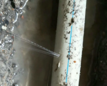 蒙城卫生间测漏水多少钱